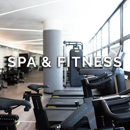 ザ ハイブ ローマ